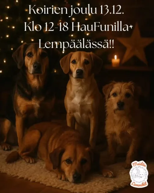 🎄KOIRIEN JOULU HAUFUNILLA 13.12. KLO 12-18🎄Tervetuloa viettämään tunnelmallista ja iloista joulutapahtumaa, jossa koirakot pääsevät ratkomaan joulun suurinta arvoitusta eli missä ihmeessä on joulupukin kadonneet lahjat🎁🎅🏻.Tapahtuman sydämessä on joulu-aiheinen virikkeistämisrata, jossa nelijalkaiset ystävämme pääsevät käyttämään lajiominaisia toimintamallejansa sekä älyään selvittääkseen arvoituksen.
Rata kulkee @haufun_pennusta_aikuisuuteen hallin sisällä sekä ulkona, joten varautukaa säänmukaisella vaatetuksella🐶.
Rauhallinen ja lämminhenkinen joulutunnelma täyttää alueen – kynttilöitä, jouluntuoksuja ja säveliä, tervetuloa mukaan, ilmoittautuminen avautuu 17.11.🎅🏻.#käytösneuvonta #eläinlähtöisyys #meidänlemmikit #koirahieronta #kissahieronta #virikkeistäminen #pirkanmaa #haufun #koirienjoulu