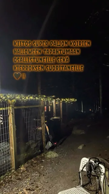 Tässä erittäin lyhyt ja pieni kooste halloween kierrokselta, paljon ei ehditty valitettavasti kuvaamaan, mutta tässä muutamia🎃. Kierroksen suorittaneet tyytyväiset asiakkaat kertoivat työnjäljestä jotain, kiitos avustajille sekä kierroksen suorittaneille🧡!Iso kiitos myös tapahtumaan osallistuneille hyväntekeväisyysjärjestöille sekä valokuvaajalle @rescueyhdistyskulkurit @maukulary @pesu_ry @valokuvaajailona ja @fifix_europe_ry 🧡!Next stop…🎄🎁Ota tili seurantaan ja pysy ajantasalla tulevista tapahtumista!#meidänlemmikit #koirienhalloweenkierros2025 #eläinlähtöisyys #käytösneuvonta #koirahieronta #kissahieronta #virikkeistäminen #pirkanmaa