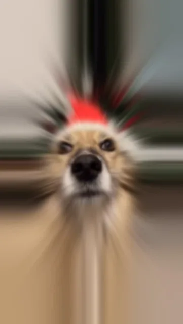 Tässä lyhyt kooste koirien joulutapahtumasta🎄. Muutamia kuvia kuitnekin ehdittiin räpsiä. Kiitos avustajille sekä kierroksen suorittaneille❤️!Iso kiitos myös tapahtumaan osallistuneille hyväntekeväisyysjärjestöille @koikkarinkissala sekä Bim Mustakorvalle❤️Ota tili seurantaan ja pysy ajantasalla tulevista tapahtumista!Rauhallista uutta vuotta kaikille ja kiitos tästä vuodesta ihanille asiakkailleni❤️#meidänlemmikit #koirienjoulutapahtuma2025 #eläinlähtöisyys #käytösneuvonta #koirahieronta