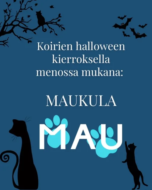Kissojen hyväntekeväisyysjärjestö @maukulary on Koirien halloween tapahtumassa mukana🎃. Maukulan myyntipiste löytyy Vuoreksen koirametsän parkkipaikalta🧡. Maukulan piste on avoinna klo 13-16.”Maukula ry on eläinsuojeluyhdistys, jonka tavoitteena on auttaa populaatiokissoja uuden, rakastetun elämän alkuun omissa kodeissaan, kunhan kissat ovat ensin yhdistyksen toimesta hoidettu kuntoon. Kissat saavat tilapäiskodin yhdistyksen toimitilalta tai sijaiskodista ennen loppuelämän kodin löytämistä. Yhdistys toimii täysin vapaaehtoisten ja lahjoituksien turvin. 💙🐾”#kissanarvo #maukulary #koirienhalloweenkierros2026 #meidänlemmikit #eläintensuojelu