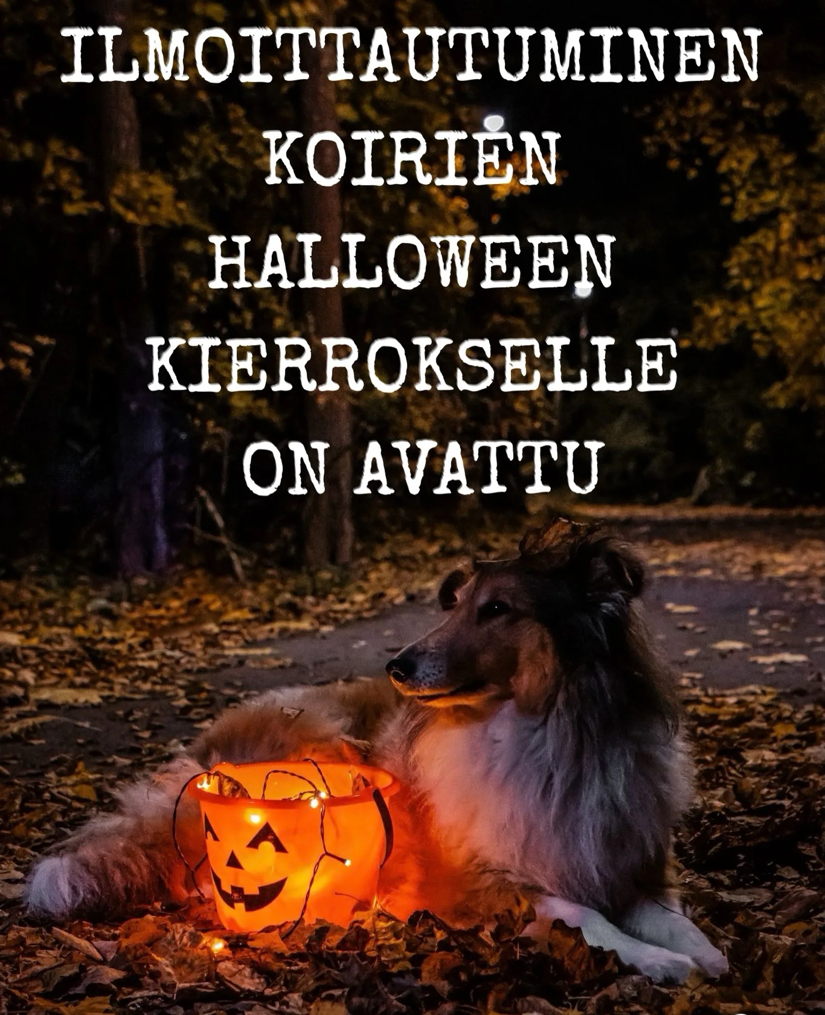 🎃ILMOITTAUTUMINEN ON AVATTU KOIRIEN HALLOWEEN KIERROKSELLE🎃Kierroksen hinta on 10€/koira ennakkoilmoittautumisen kautta ja paikanpäällä 12€. Linkki ilmoittautumiseen löytyy bion linkistä tai tekstin alta🎃:https://docs.google.com/forms/d/1gpUehjx3zkXVi-ZpzK0pXqGXxasWrpPsyuJGmr2MFpE/viewform?edit_requested=trueVaikka et tulisikaan kierrokselle, kannattaa silti tulla tutustumaan mitä muuta parkkipaikalta löytyy. 🐾llmoitan sähköpostitse, mikäli ehditte päästä osallistuvien joukkoon! Varaus vahvistetaan, kun maksu on maksettu maksulinkin kautta. Huom. Vastaamisessa saattaa esiintyä viivettä! 🎃Peruutukset ainakin 48h ennen tapahtumaa, muutoin summaa ei palauteta.❕Ikäraja ihmisille kierroksella on K-12 ja koirille alaikäraja on 6kk. Osallistua saa rokotteet kunnossa omaava koira. Huomioithan myös sen, ettei juoksuista koiraa saa tuoda kierrokselle.❗️Ennakkoilmoittautuminen sulkeutuu 24h ennen tapahtumaa. Paikanpäälle kuitenkin saa tulla odottamaan vapaata aikaa, jos niitä on vielä jäljellä. Paikanpäällä maksutapoina käy kortti tai tasaraha.🎃📸: @valokuvaajailona#koirienhalloweenkierros2026 #koiralähtöisyys #meidänlemmikit #eläinsuojeluyhdistys #tampere